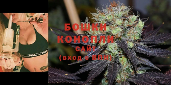 гидропоника Алзамай