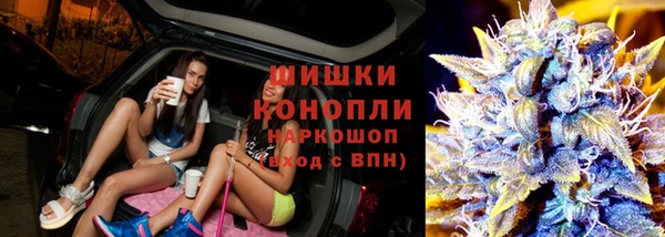 гидропоника Алзамай