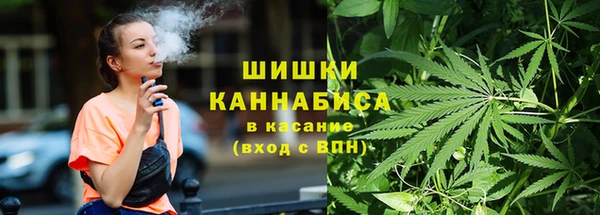 гидропоника Алзамай