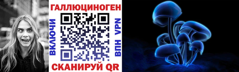 сколько стоит блэк спрут как войти Псилоцибиновые грибы Cubensis Новозыбков