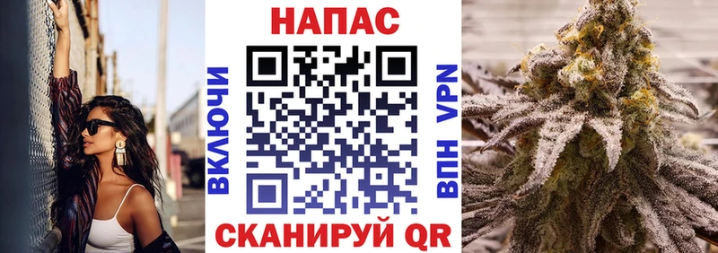 Канабис SATIVA & INDICA blacksprut как войти Новозыбков продажа наркотиков